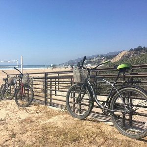 Team Page: BIKES ARE BETTER